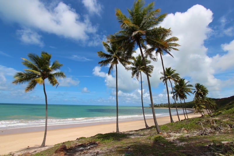 10 praias da Paraíba com águas calmas e quentinhas que você precisa conhecer