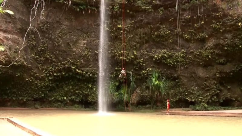 brasil novo