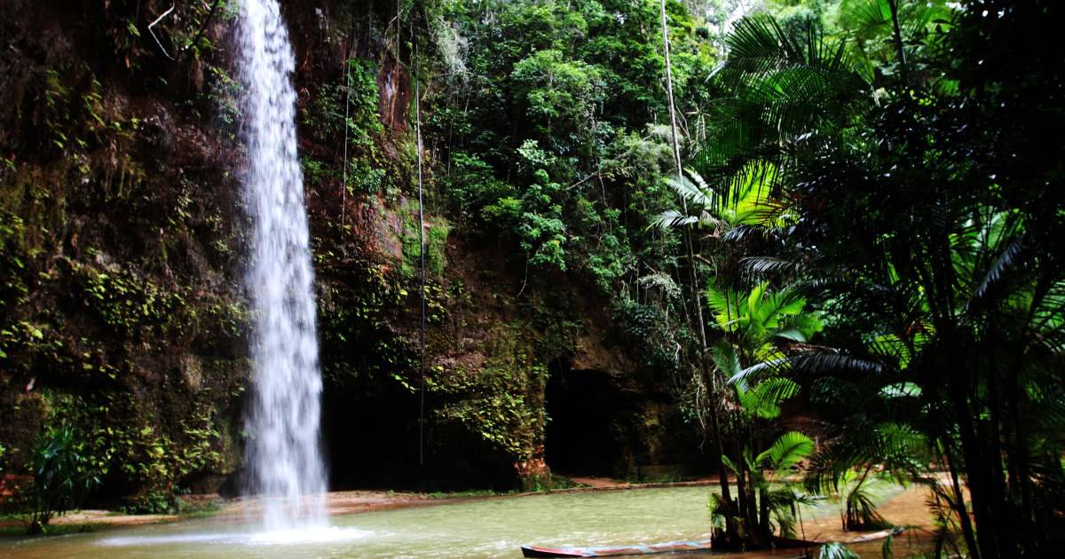 Brasil Novo Uma Joia Da Natureza Com Belezas Intocadas No Norte Do Pa S