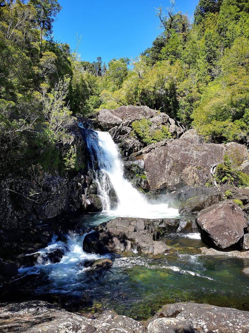 parque nacional alerce andino