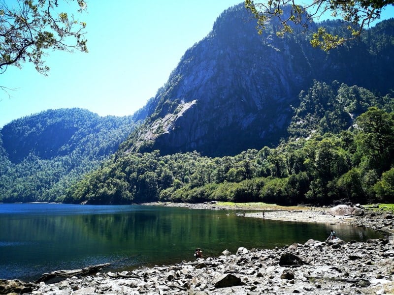 parque nacional alerce andino