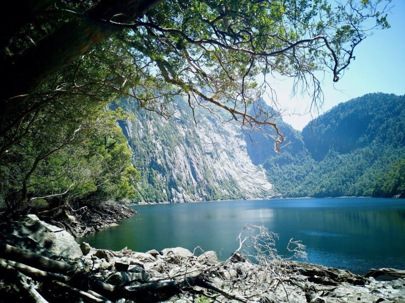 parque nacional alerce andino