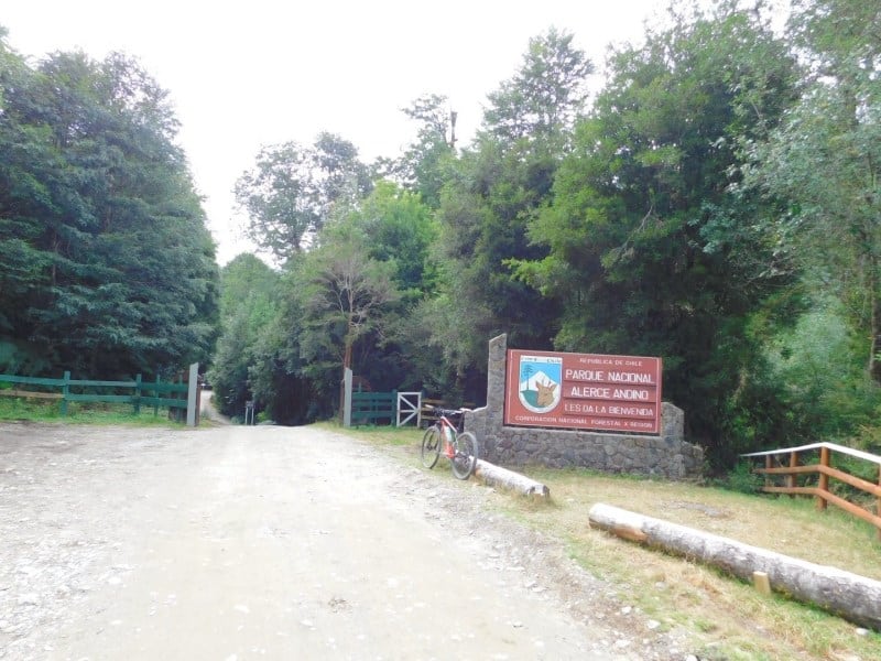 parque nacional alerce andino