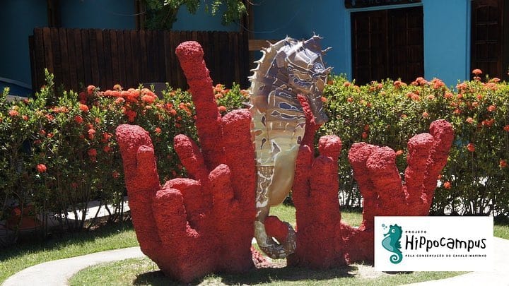 projeto hippocampus