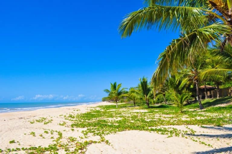 A Costa das Baleias é um pedaço do paraíso no extremo sul da Bahia