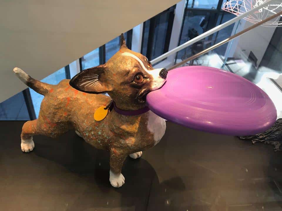 museu do cachorro em nova york