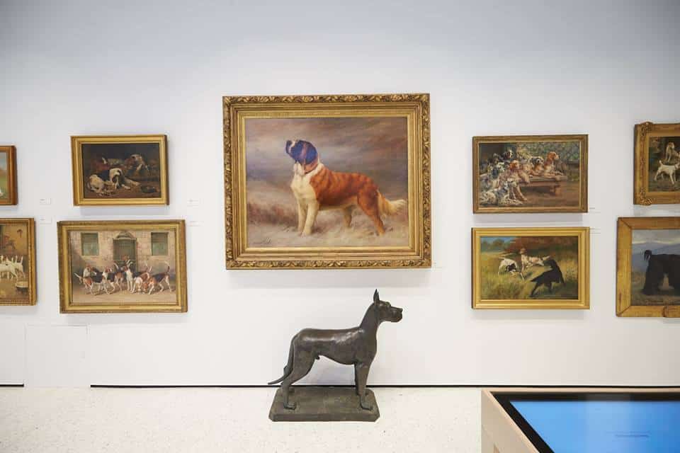 museu do cachorro em nova york
