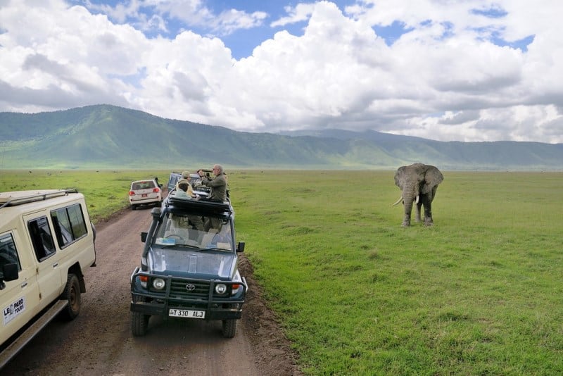 safari na africa