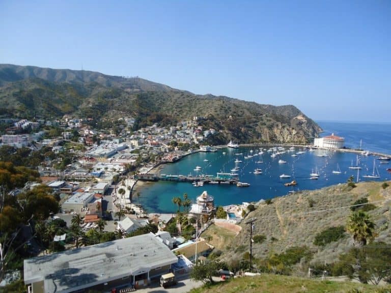 Catalina Island, a ilha californiana paradisíaca que fica entre Los Angeles e San Diego