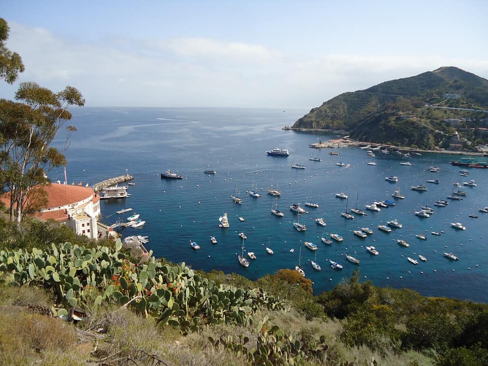 catalina island california