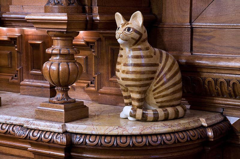 museu dos gatos amsterdã