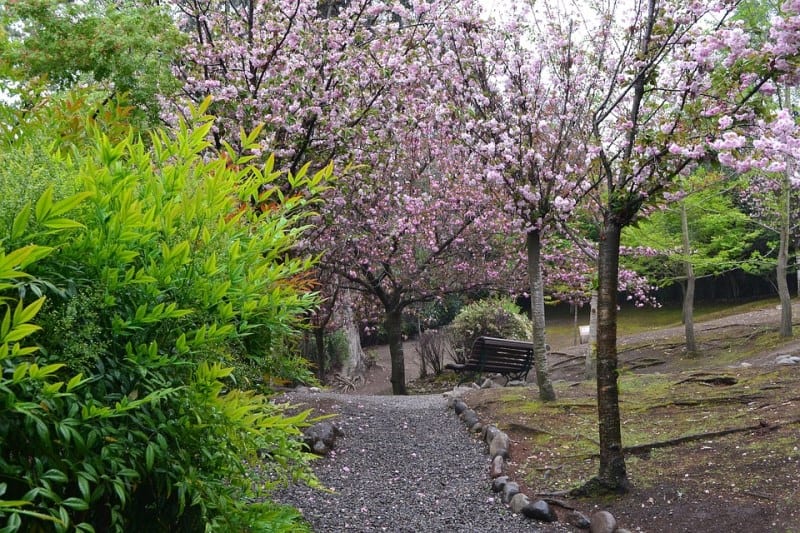 parque metropolitano de santiago