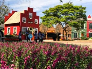 Expoflora reúne flores, música e comida holandesa em Holambra (SP)