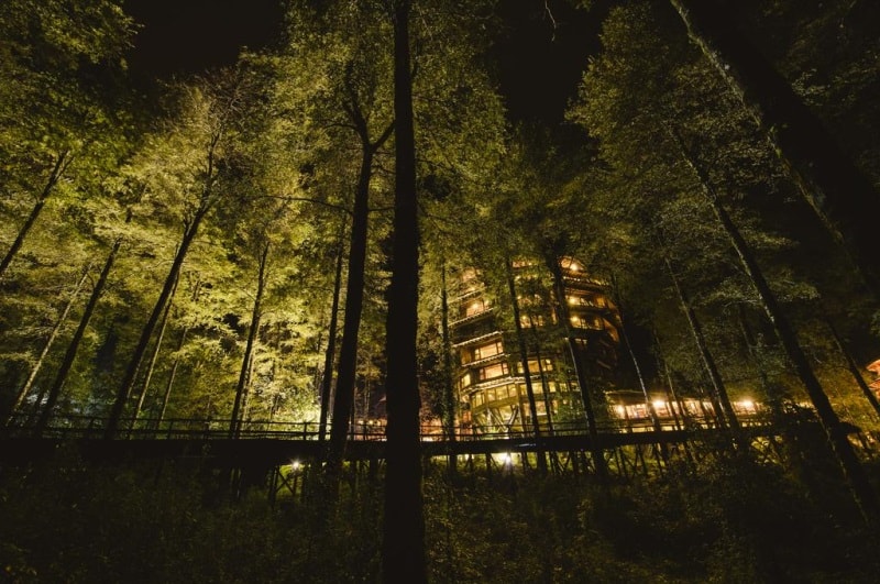 Huilo Huilo Nothofagus Hotel