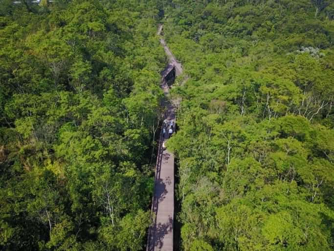 Parque em São Paulo tem pontes suspensas e acessibilidade em trecho da Mata Atlântica