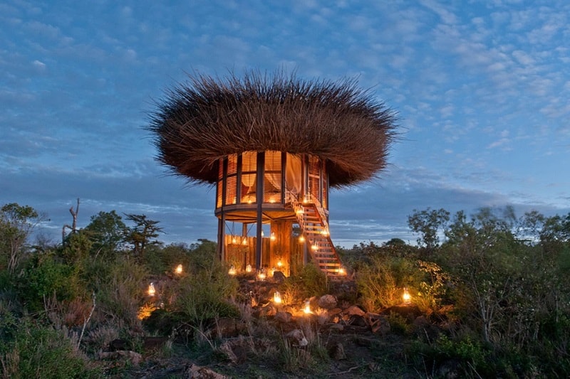 nay palad bird nest