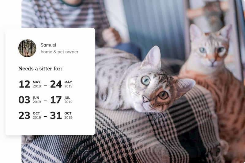 Trusted House Sitters
