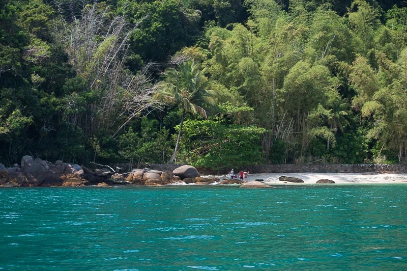 ilha das couves em ubatuba