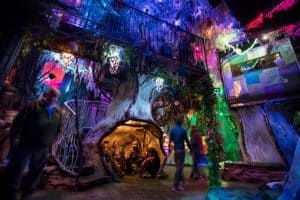 meow wolf