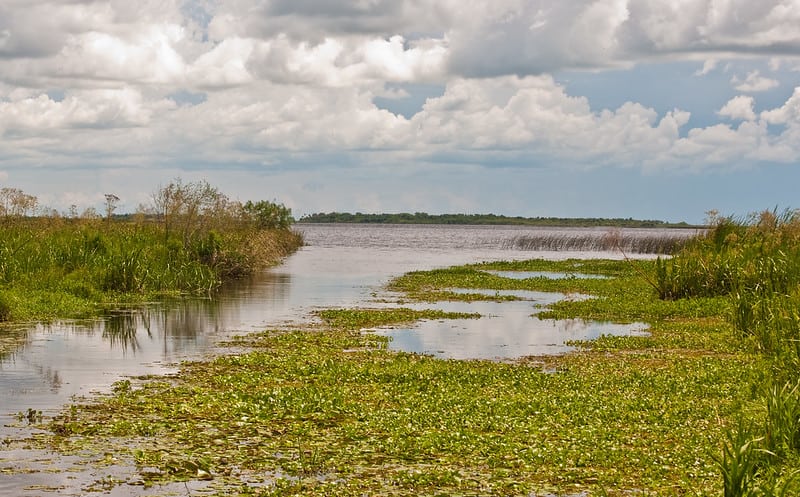 Esteros del Iberá