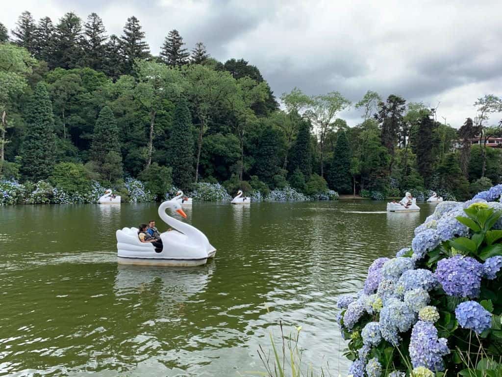 lago negro gramado