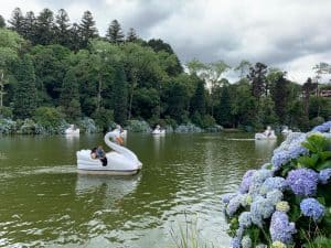 lago negro gramado