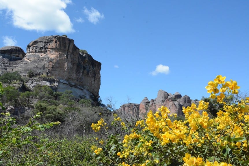 canions do viana
