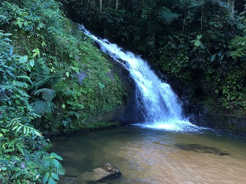 tapirai em sao paulo