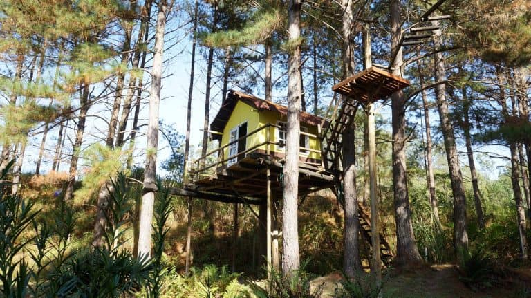 Vinícola em São Roque tem casa na árvore, lazer e enoturismo