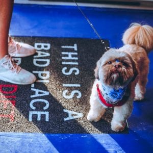 lugares pet friendly em curitiba