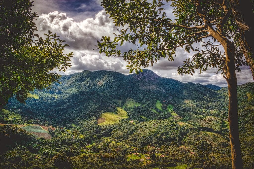 Gonçalves em Minas Gerais