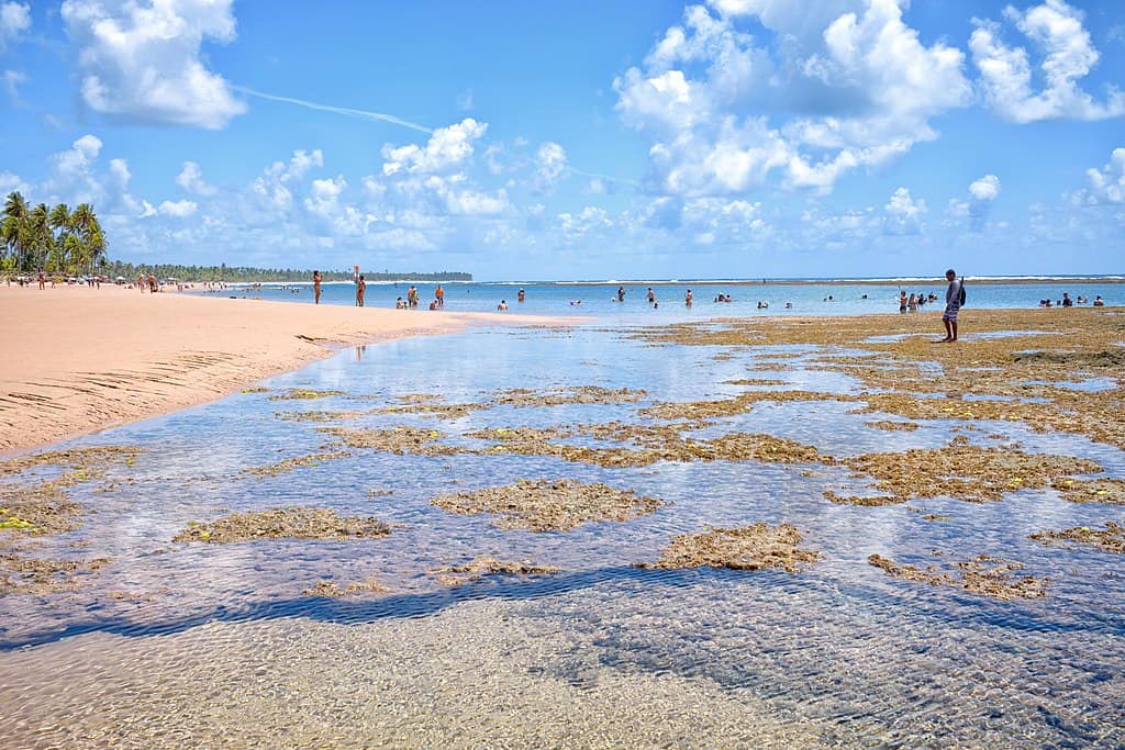 Península de Maraú