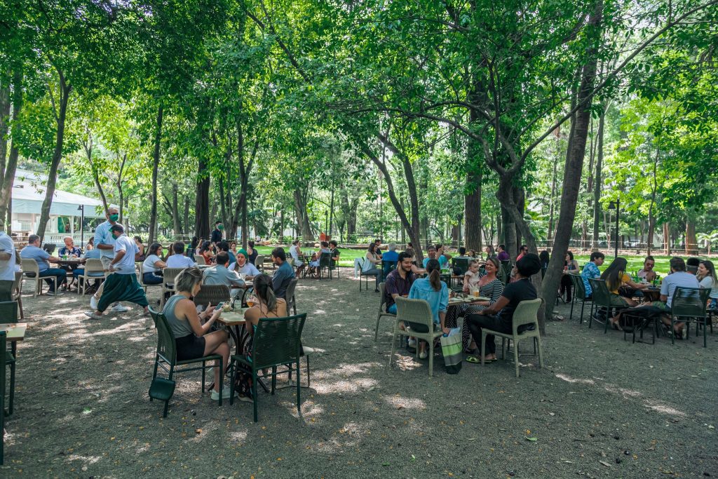 Restaurante Capim Santo – alta gastronomia ao ar livre em SP