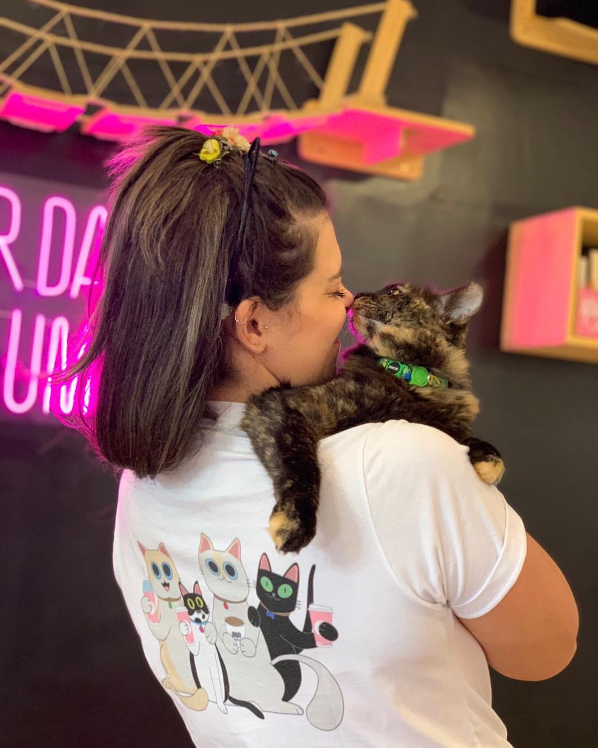 Para interagir e ronronar: conheça o primeiro Gato Café do Rio de Janeiro