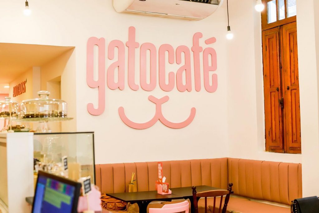 Para interagir e ronronar: conheça o primeiro Gato Café do Rio de Janeiro
