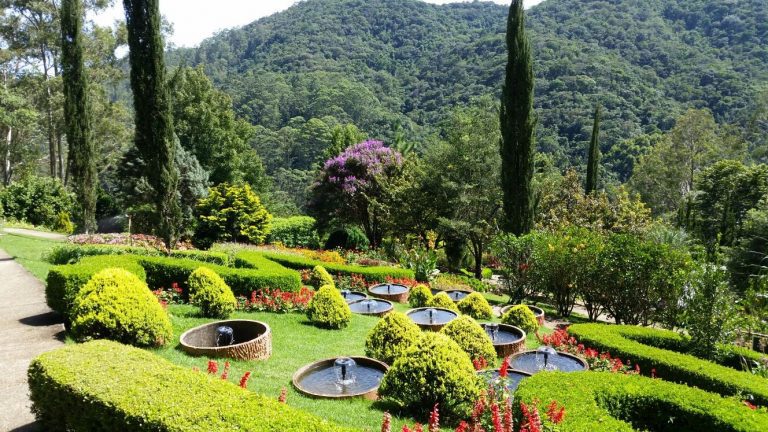 Encante-se com a beleza do Jardim dos Pinhais, no interior de SP