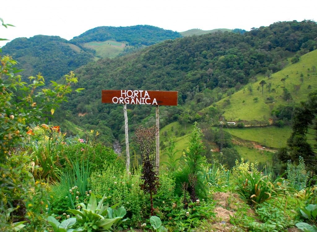 Horta Orgânica da Acolhida na Colônia