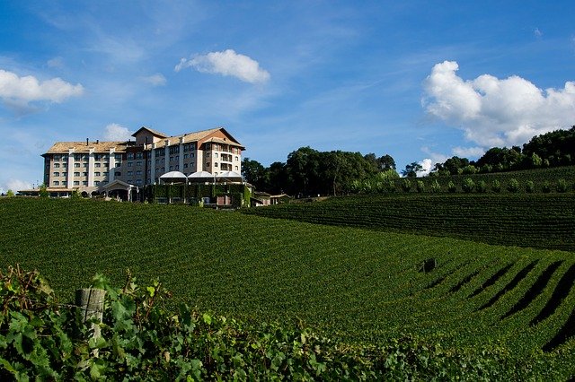 Bento Gonçalves é conhecida por suas vinícolas que abastecem o país todo com os melhores vinhos/ Foto: Pixabay