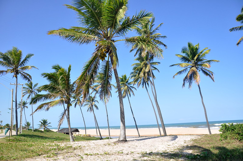 Conheça as belas praias de Imbassaí na Bahia/Foto: Flickr