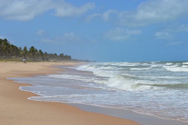  Aproveite as praias pouco movimentadas de Imbassaí/Foto: Pixabay