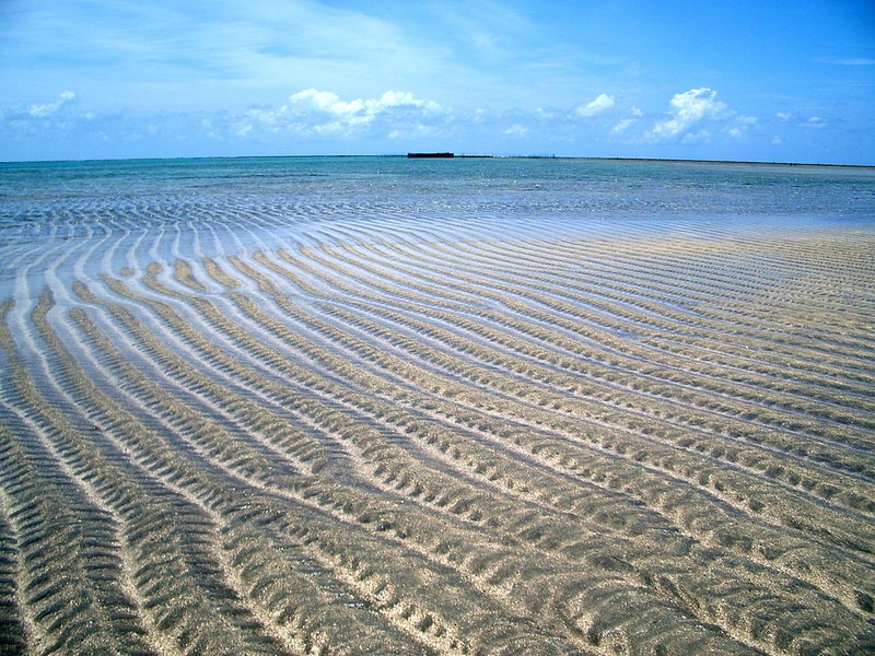 Não deixe de visitar a Praia de Tatuamunha, onde a água chega a ser transparente /Foto: Flickr