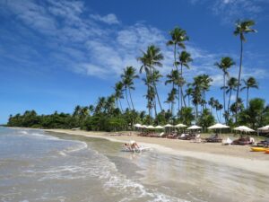 melhores praias do brasil