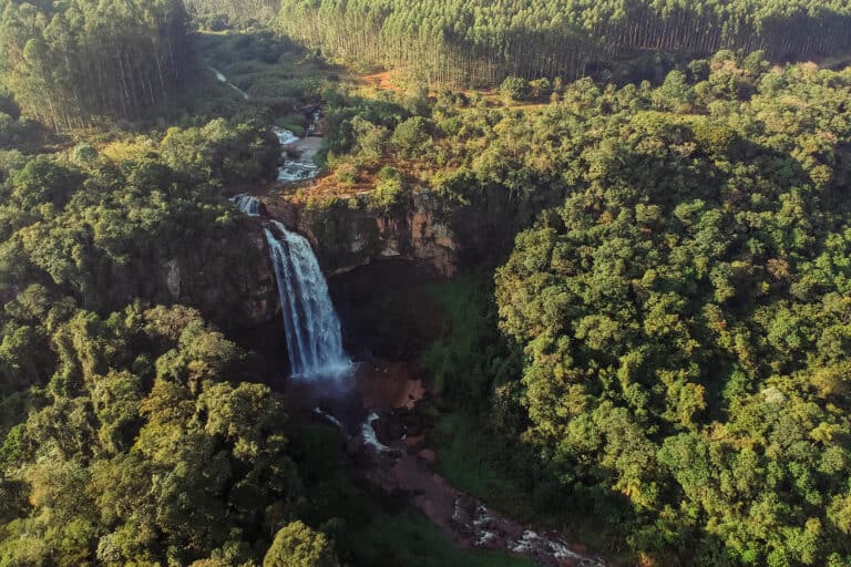 Roteiro de viagem no Paraná: conheça três destinos imperdíveis!