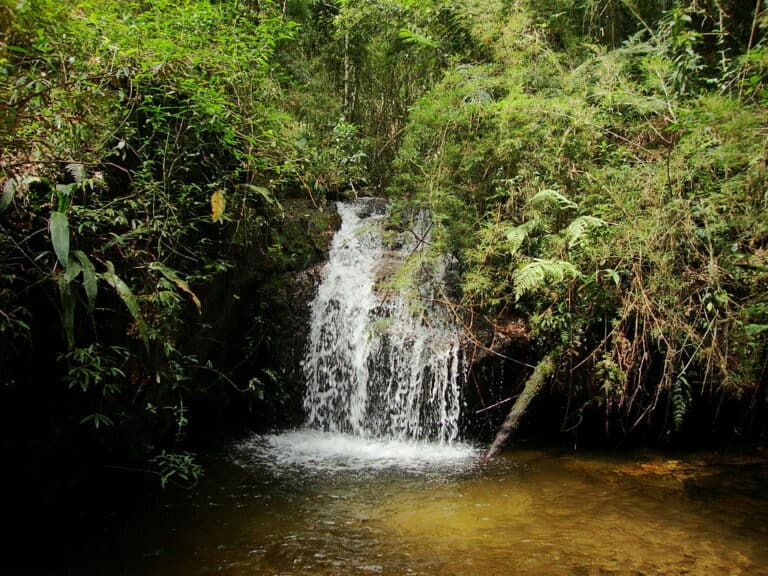 Serra do Japi: trilhas, cachoeiras e muita natureza pertinho de SP