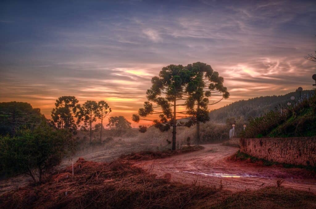 Camanducaia: o destino perfeito para relaxar no sul de Minas
