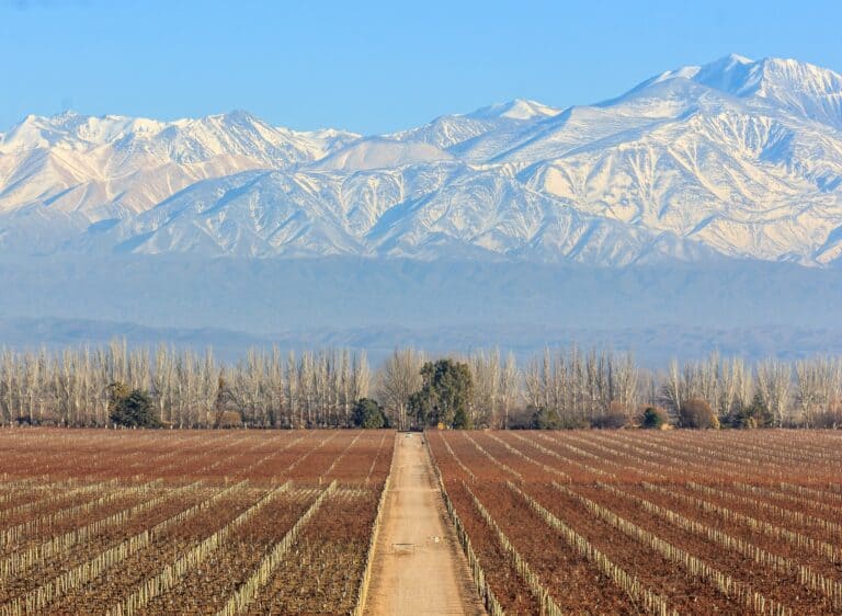 Catena Zapata: como visitar a melhor vinícola do mundo
