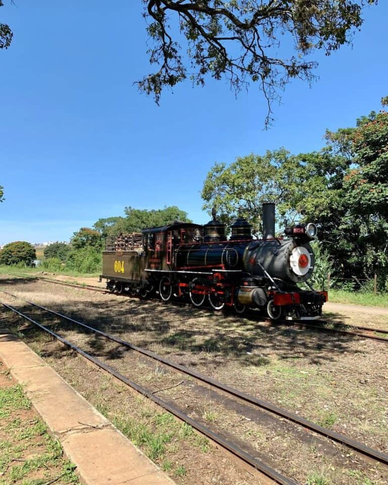 Saiba tudo sobre o passeio de Maria Fumaça em Campinas