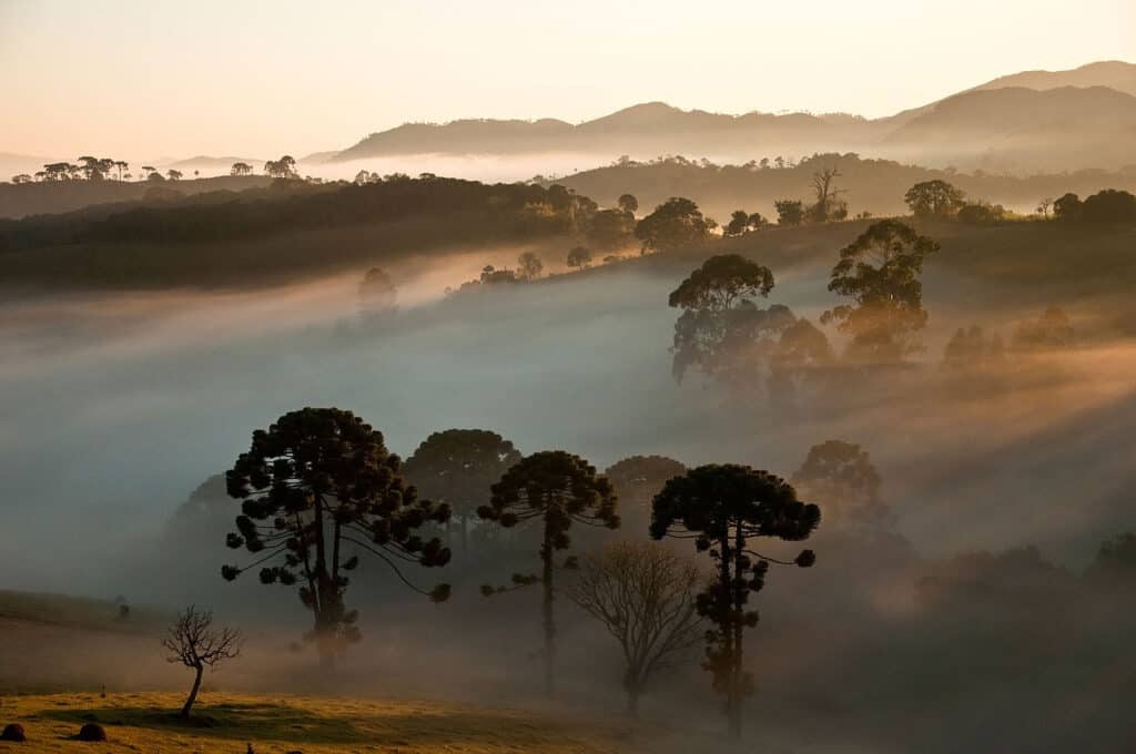São José do Barreiro em SP