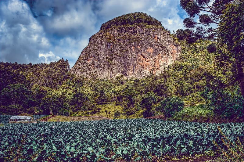 Gonçalves MG