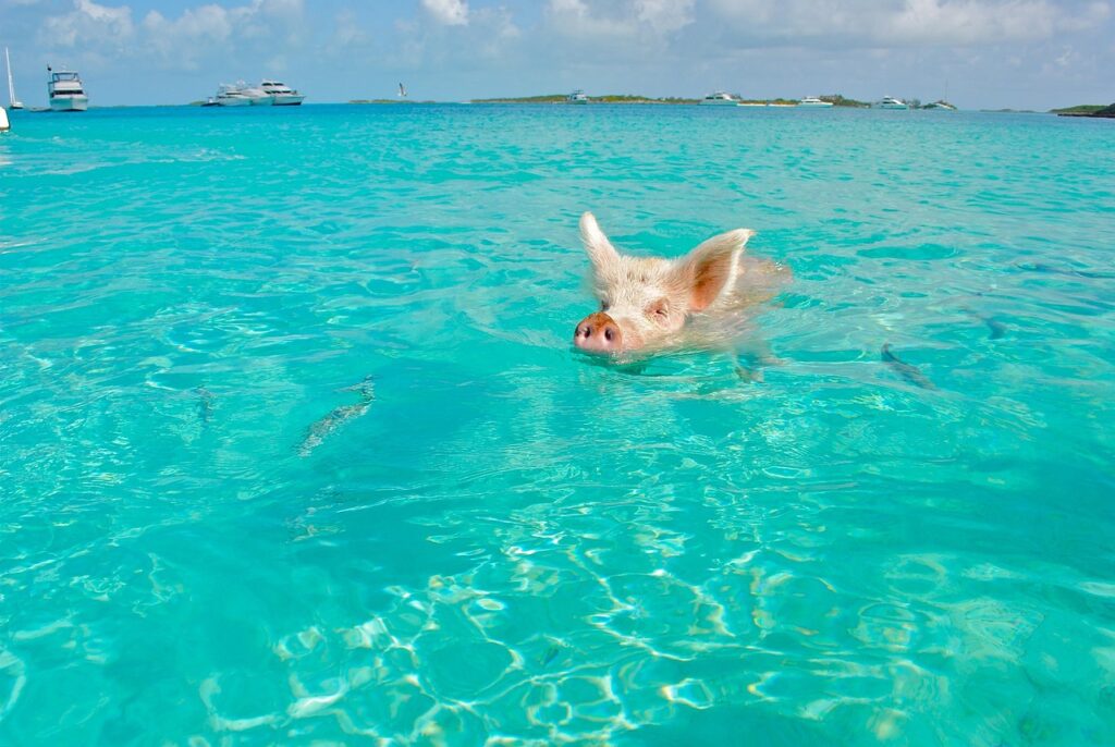 Roteiro de viagem pelas Bahamas 